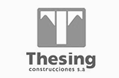 logo_thesing_g